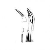 Root Splinter Forceps